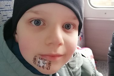 Obrázek č.13